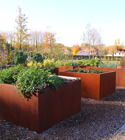 Jardinières en acier Corten de chez Kubik Création avec des différents types de plantes dans un jardin automnal