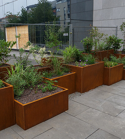 Jardinière en acier Corten modulaire aux Azalées à Bruxelles par Kubik Création avec des plantes et des fleurs roses