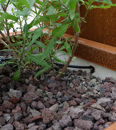 Jardinière en acier Corten modulaire aux Azalées à Bruxelles avec des pierres ponces colorées