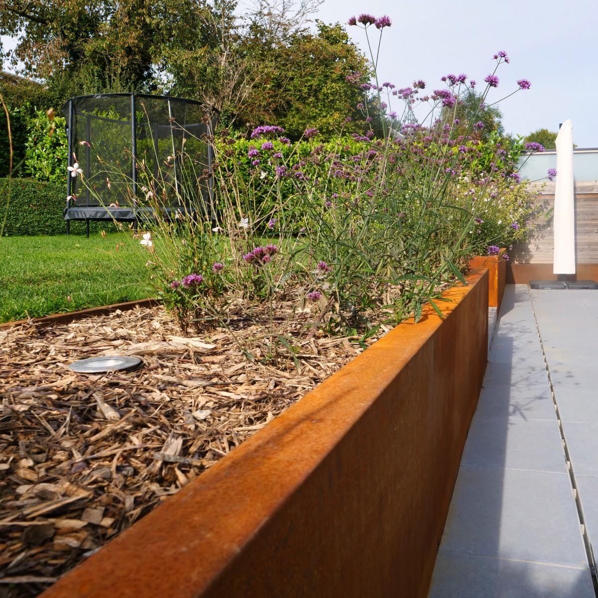 Jardinière en acier Corten avec des fleurs maubes, en bordure d'un. jardin