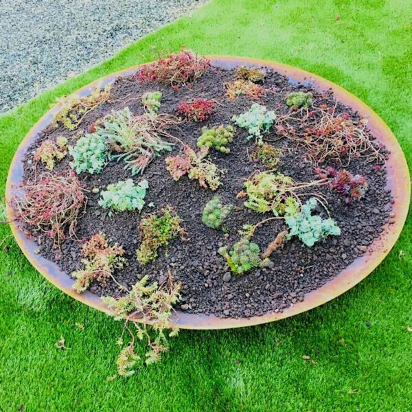 Cuve en corten jardinière