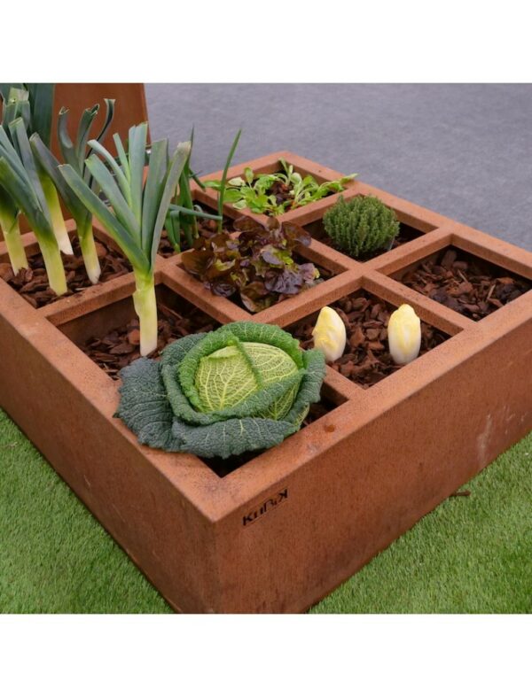 Bac potager compartimenté en acier Corten avec des légumes : chou-fleur, poireaux, salades...