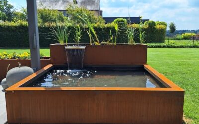 Bassin avec lagune de filtration naturelle